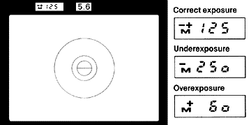 Manual mode Viewfinder info.jpg (12k)